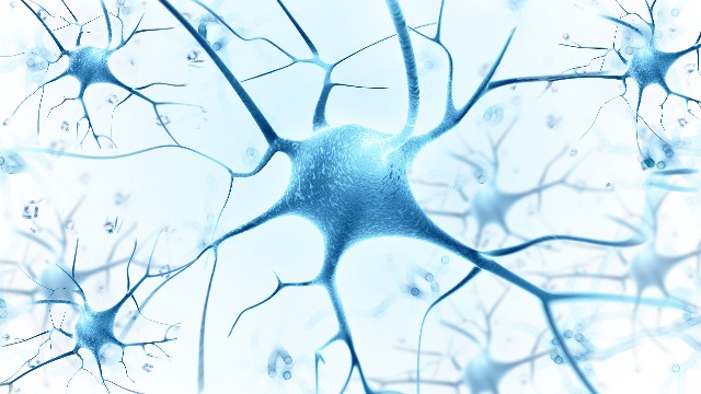 神经丝轻链蛋白（NfL）与渐冻症（ALS）早期诊断